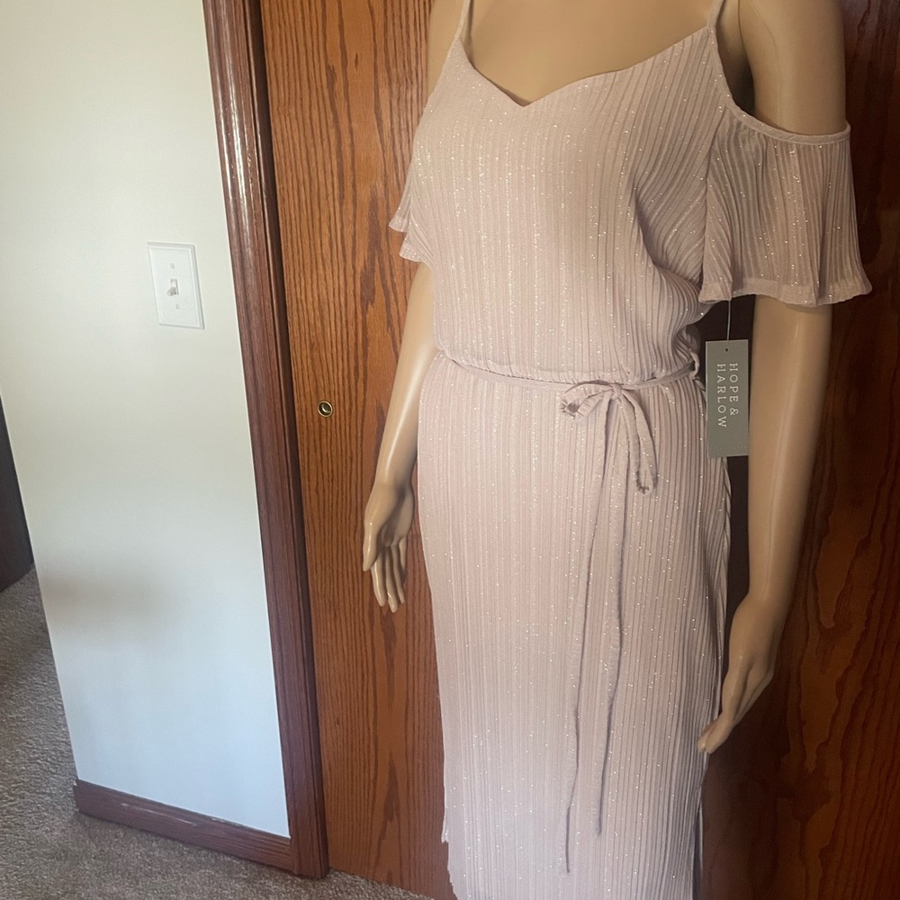 NWT/ Hope & Harlow Shimmery Dress